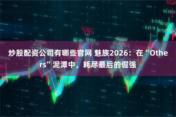 炒股配资公司有哪些官网 魅族2026：在“Others”泥潭中，耗尽最后的倔强