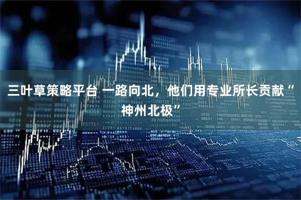 三叶草策略平台 一路向北，他们用专业所长贡献“神州北极”